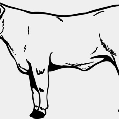 COW017 Thumbnail