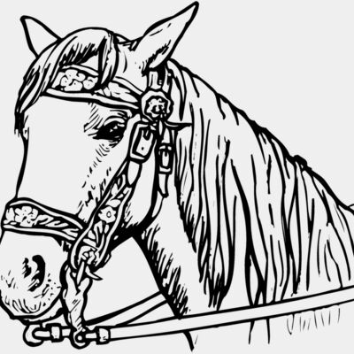 HORSE005 Thumbnail