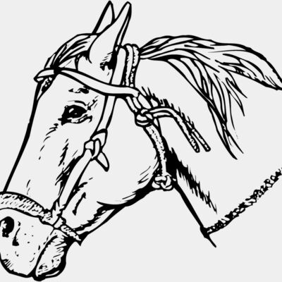 HORSE007 Thumbnail