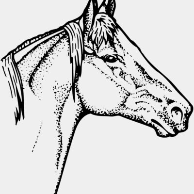 HORSE010 Thumbnail