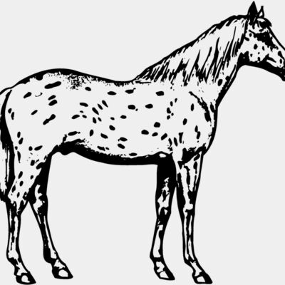 HORSE015 Thumbnail