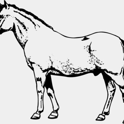 HORSE028 Thumbnail