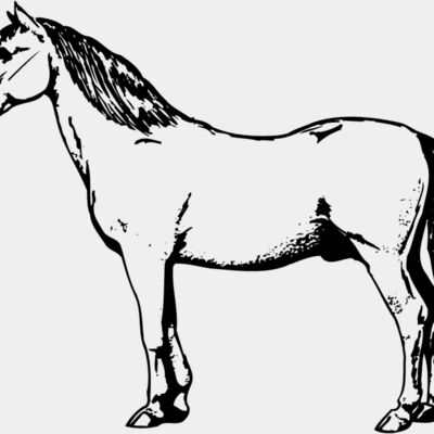 HORSE030 Thumbnail