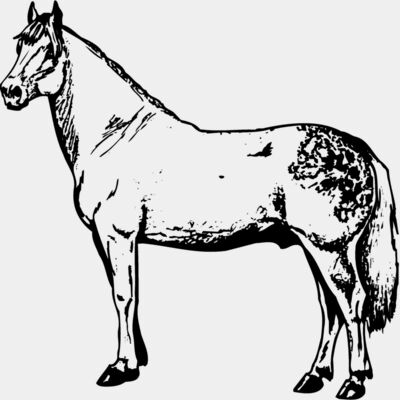 HORSE033 Thumbnail