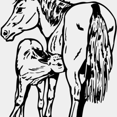 HORSE036 Thumbnail