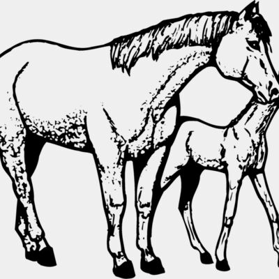 HORSE039 Thumbnail