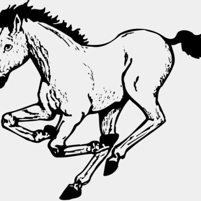 HORSE043 Thumbnail
