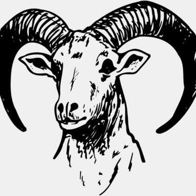 RAM012 Thumbnail