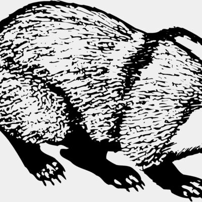 BADGER03 Thumbnail
