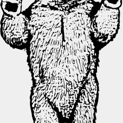 BEAR009 Thumbnail