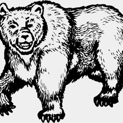 BEAR015 Thumbnail
