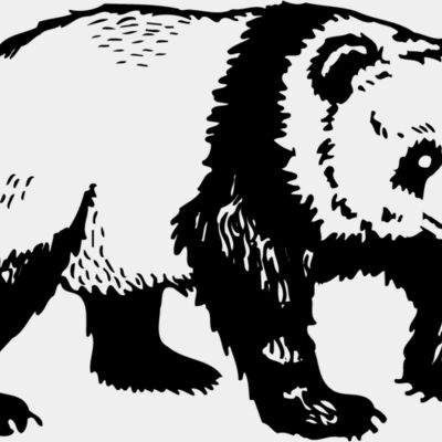 BEAR019 Thumbnail