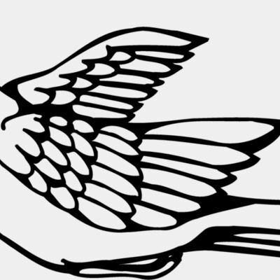 BIRD012 Thumbnail