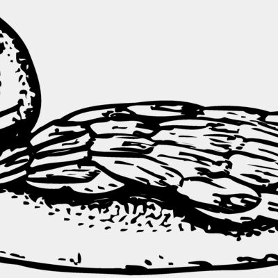 BIRD093 Thumbnail