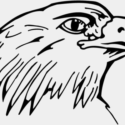 EAGLE014 Thumbnail