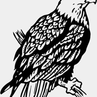 EAGLE024 Thumbnail
