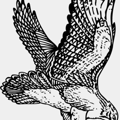 EAGLE026 Thumbnail