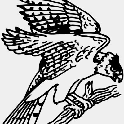 EAGLE027 Thumbnail