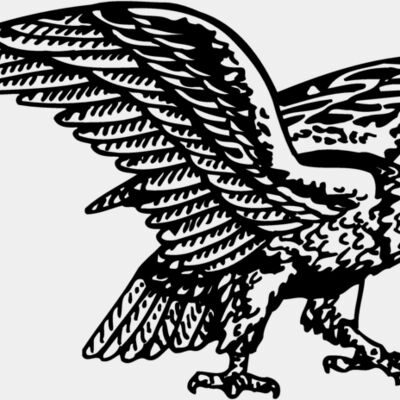 EAGLE028 Thumbnail