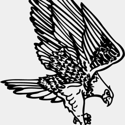 EAGLE030 Thumbnail