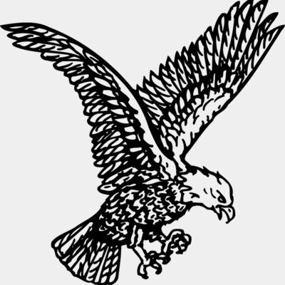 EAGLE037 Thumbnail