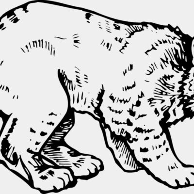 BOBCAT03 Thumbnail