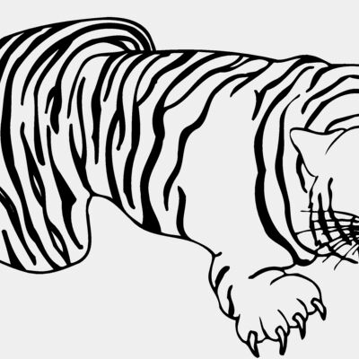 CAT09 Thumbnail