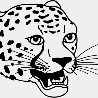CAT14 Thumbnail