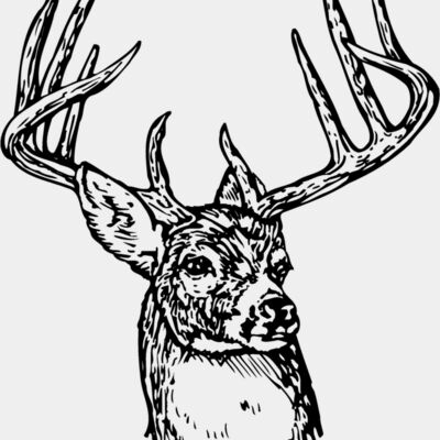 DEER006 Thumbnail