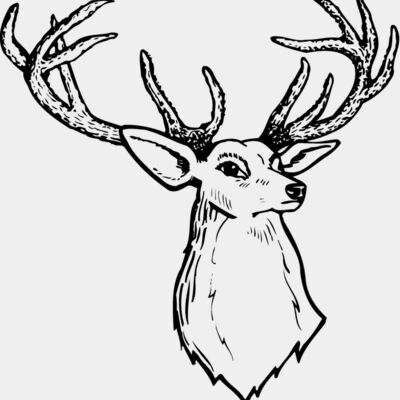 DEER008 Thumbnail