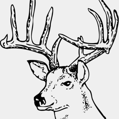 DEER014 Thumbnail