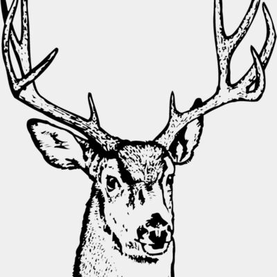 DEER016 Thumbnail