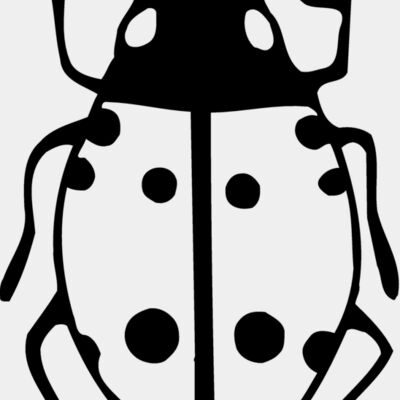 BEETLE03 Thumbnail