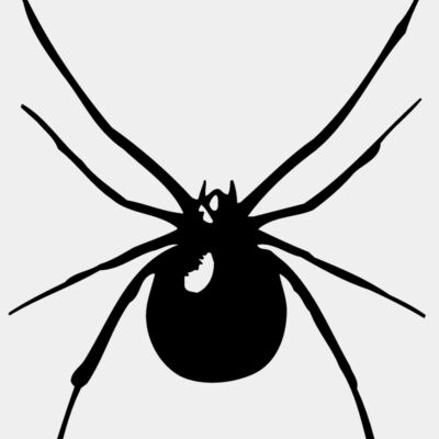 SPIDER03 Thumbnail