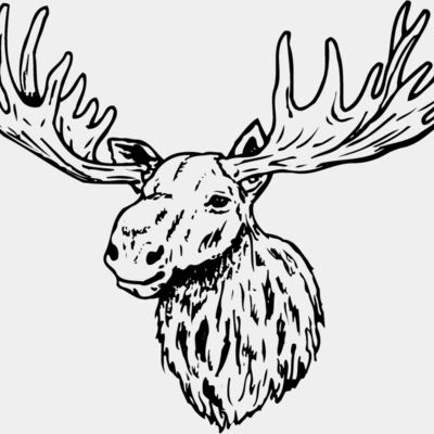 MOOSE001 Thumbnail