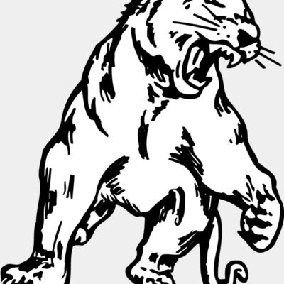 PANTHER1 Thumbnail
