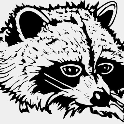 COON004 Thumbnail