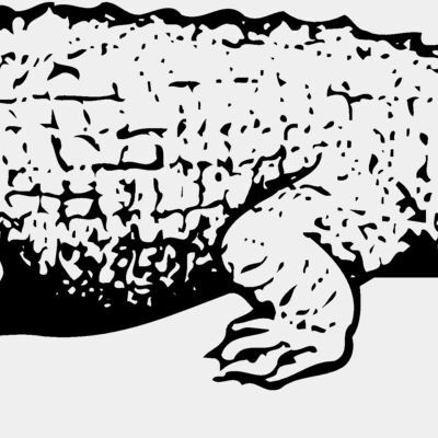 CROC03 Thumbnail