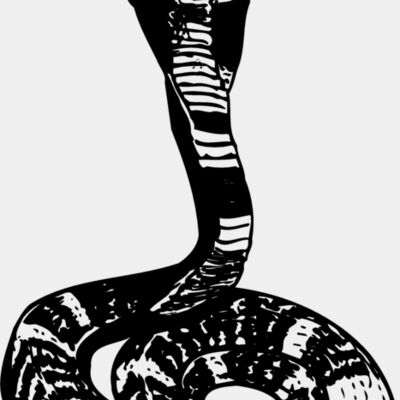 SNAKE006 Thumbnail