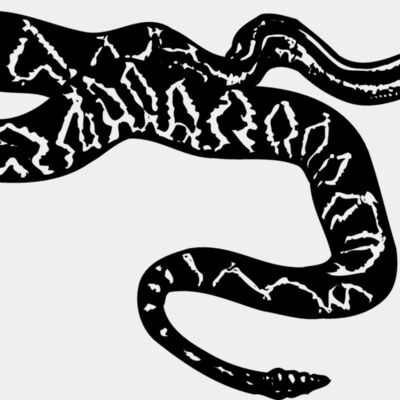 SNAKE007 Thumbnail