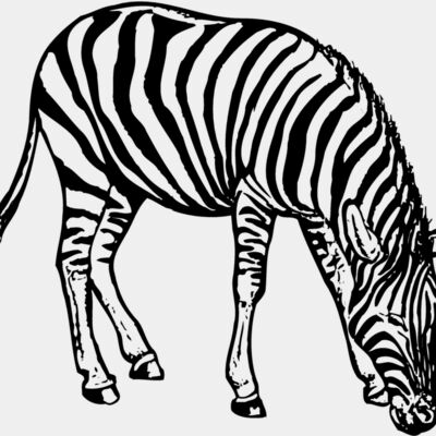 ZEBRA001 Thumbnail