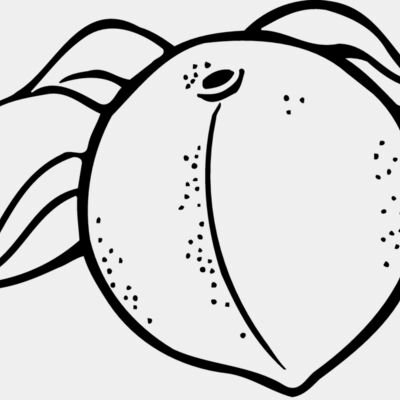 FRUIT023 Thumbnail