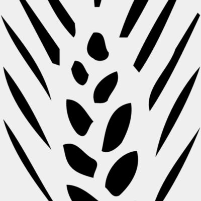 FRUIT057 Thumbnail