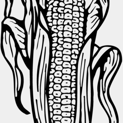 GRAIN001 Thumbnail
