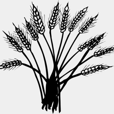 GRAIN015 Thumbnail
