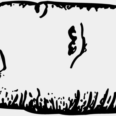 VEG006 Thumbnail