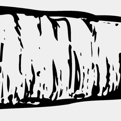 VEG010 Thumbnail