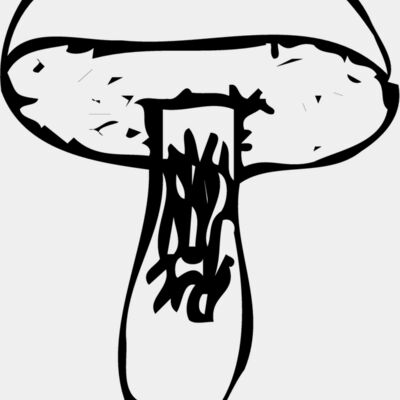 VEG028 Thumbnail