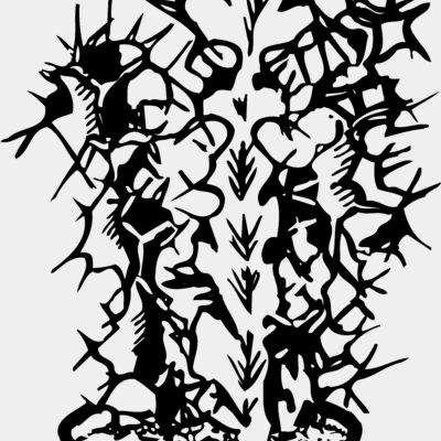CACTUS04 Thumbnail