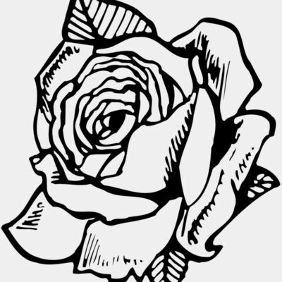 FLOWER03 Thumbnail